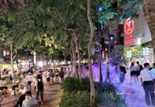 改造過程艱辛 瑠公綠廊成台北東區亮點 – 聯合新聞網