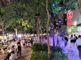 改造過程艱辛 瑠公綠廊成台北東區亮點 – 聯合新聞網