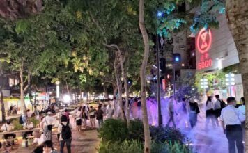 改造過程艱辛 瑠公綠廊成台北東區亮點 – 聯合新聞網