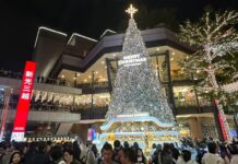 最美耶誕燈飾 2025繽紛耶誕玩台北 | 蕃新聞