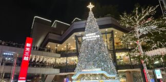 最美耶誕燈飾 2025繽紛耶誕玩台北 | 蕃新聞